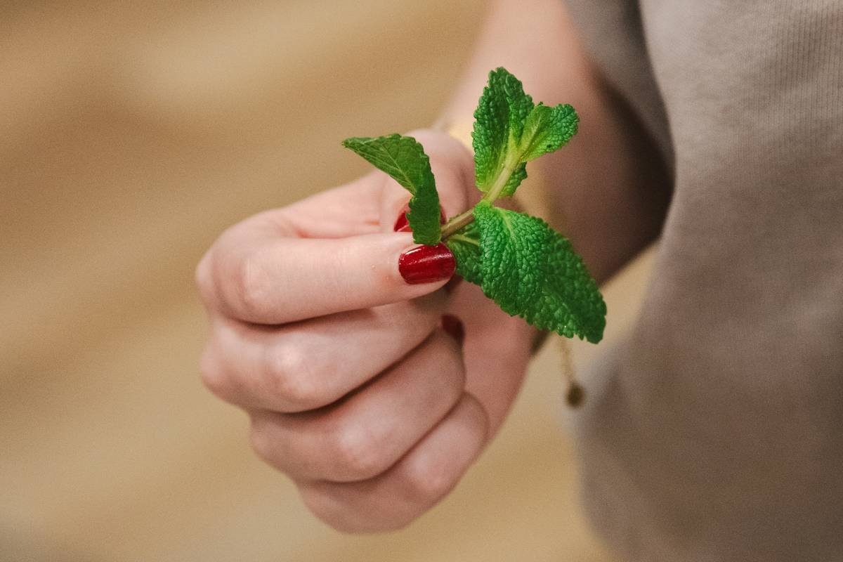 A pregnant woman holding nail clippers while applying hand cream near a window
