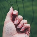 Unlock Nail Growth Secrets with the Right Nail Clippers: A Guide to Stronger Nails